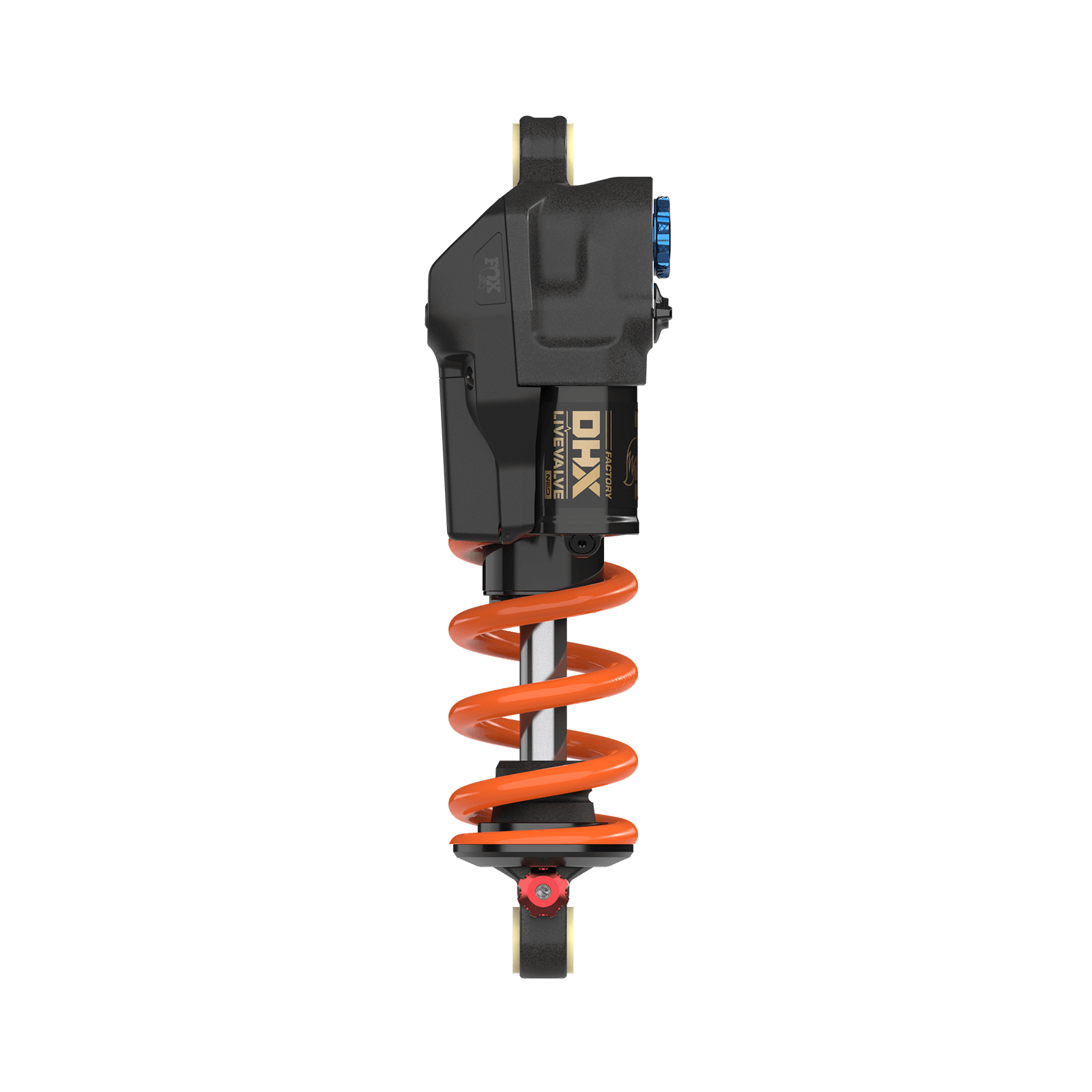 DHX_LV_NEO_Rotations_0003_DHX_